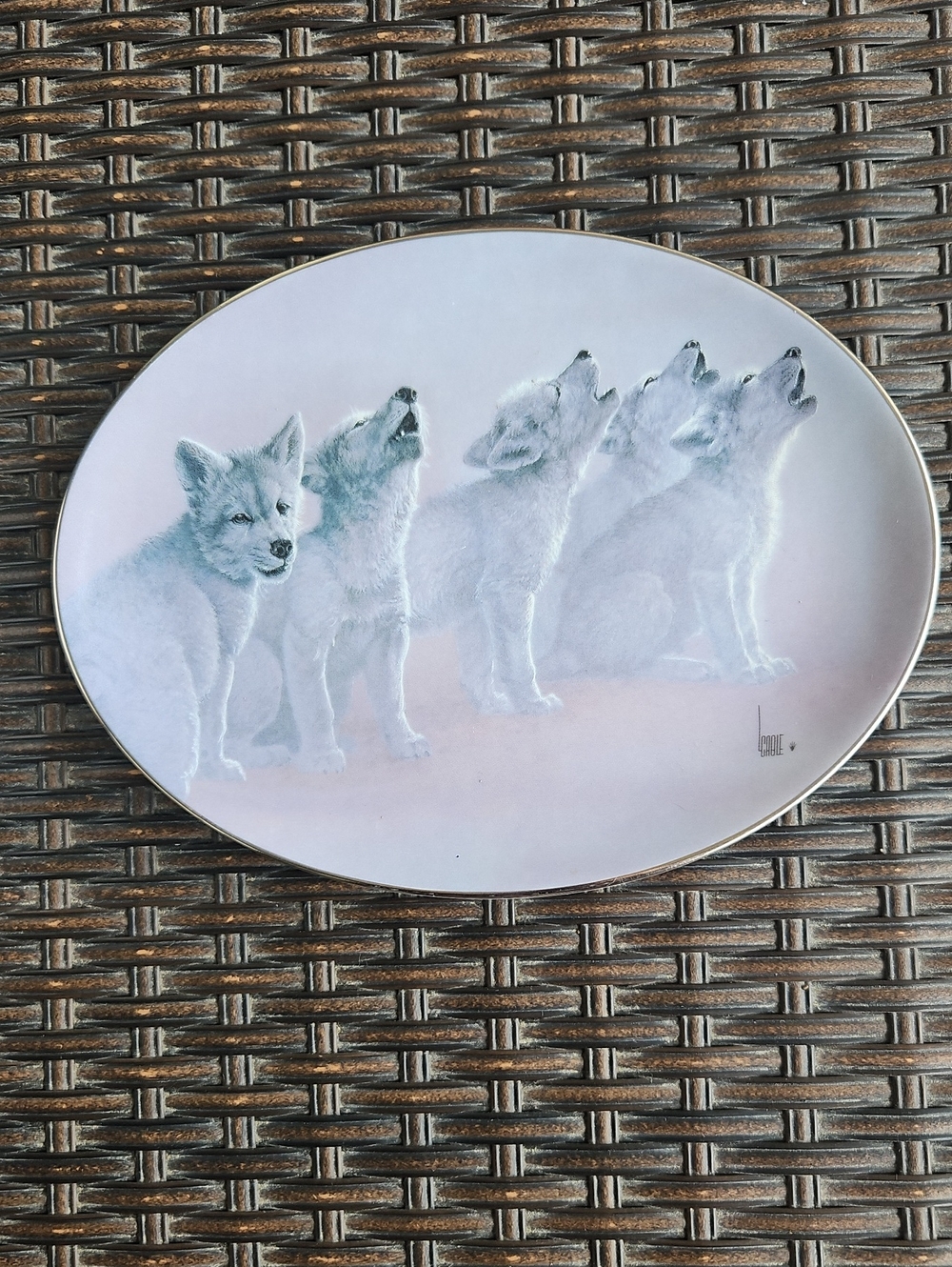 Vintage Bradford Exchange "The Wild Bunch" Decorative Plate